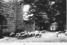 Eglise de TARNAC vers 1910